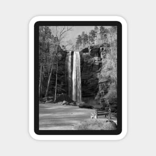 Toccoa Falls in Black and White Magnet