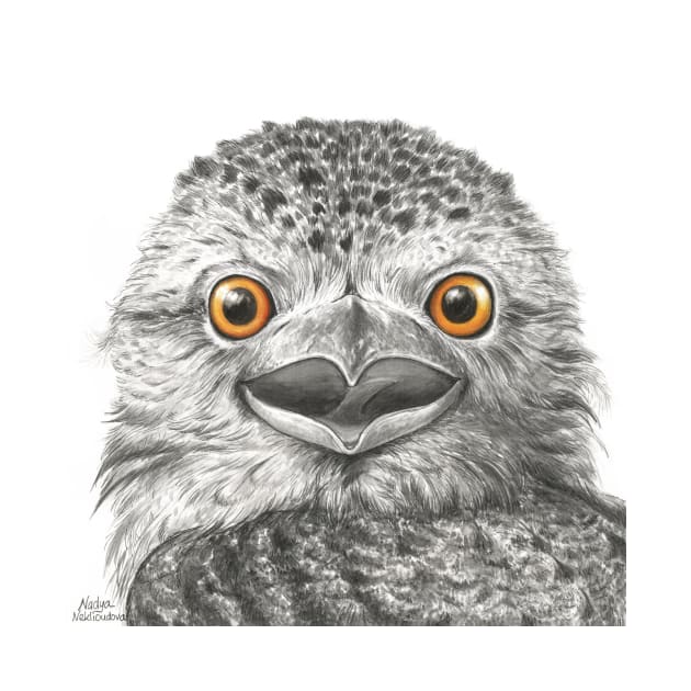 Tawny Frogmouth Surprise - by Nadya Neklioudova by nadyawildlife