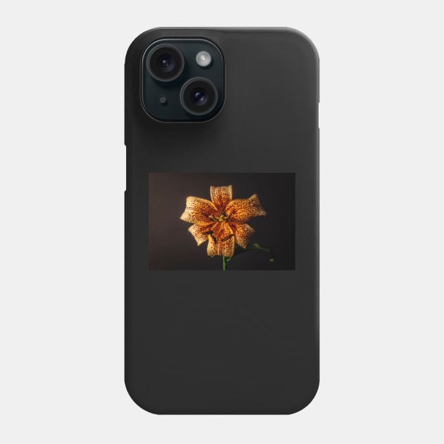 Orange tiger lily still life Phone Case by blossomcophoto