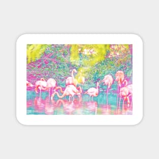 Flamingos Magnet