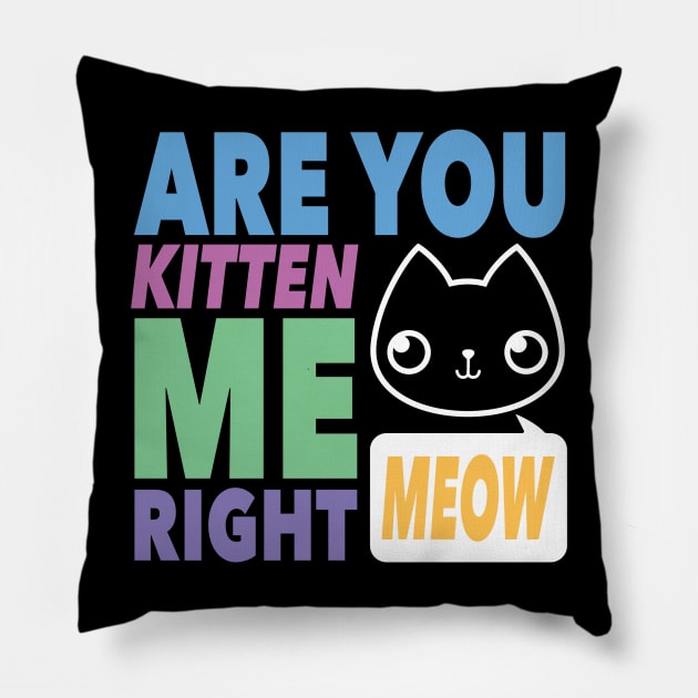 Are You Kitten Me Right MEOW Pillow by MontyMolly