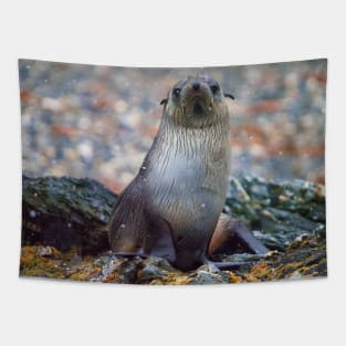 BABY SEAL POSING FOR A PHOTO Tapestry