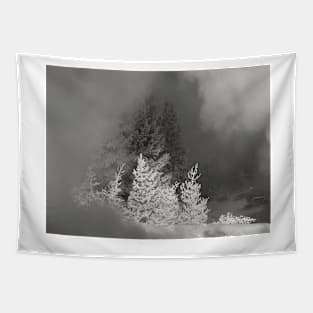 The winter dream Tapestry