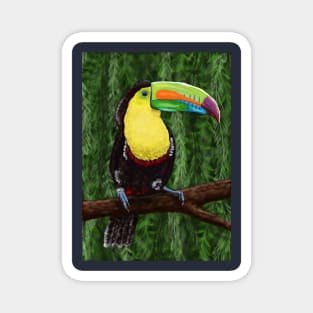 Toucan in the Rainforest Magnet