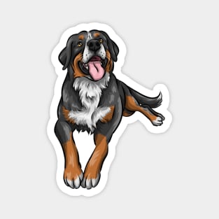 Cute Bernese Mountain Dog Magnet