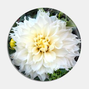 White flower Pin
