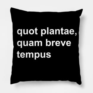 quot plantae, quam breve tempus Pillow