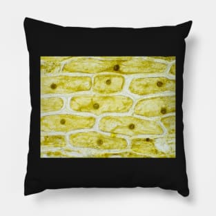 Onion skin cells under the microscope Pillow