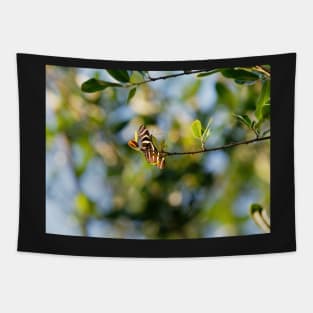 Beauty Everywhere Tapestry