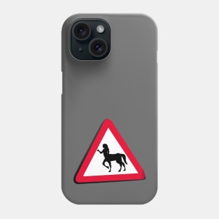 Centaur Crossing Phone Case