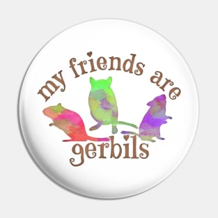 My friends are gerbils (colourful watercolour) Pin