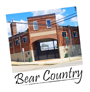 Bear Country Magnet