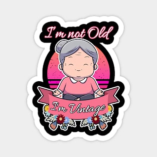 Grandma I'M Not Old I'M Granny Magnet