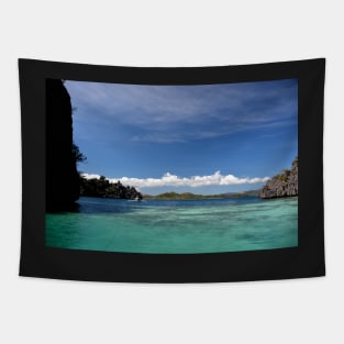 Lagon Palawan, Philippines Tapestry