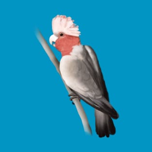 Galah T-Shirt