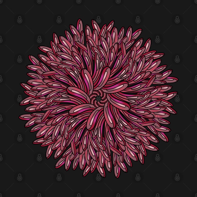 Red Succulent Mandala by DaveDanchuk