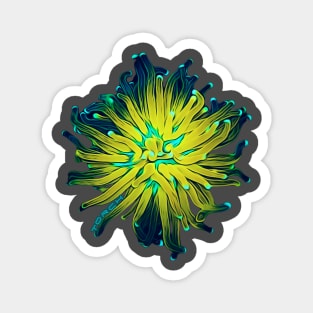 Starlight Torch Coral Magnet