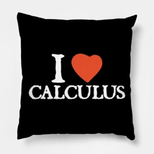 I Love I Heart Calculus Pillow