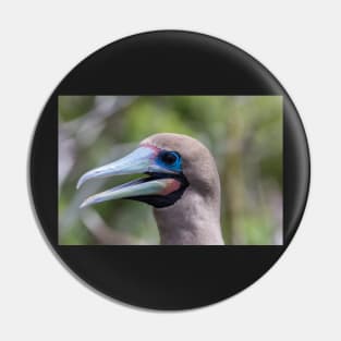 Red Footed Booby Pin