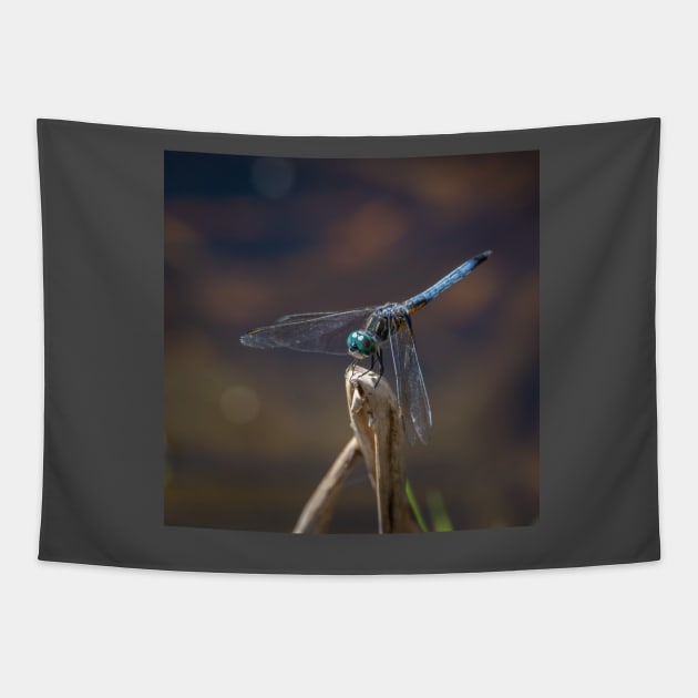 Blue Dasher Dragonfly Tapestry by Debra Martz