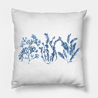 Navy blue seaweeds Pillow