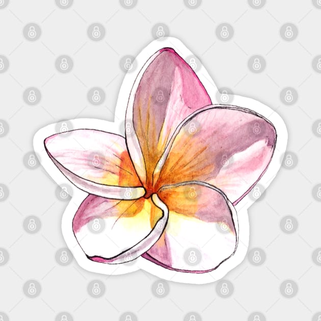 Plumeria Frangipani Magnet by AquarellChill