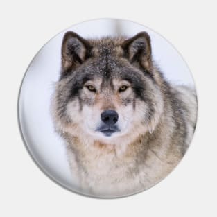 Timber Wolf Pin