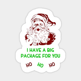 Santa's Big Package Magnet