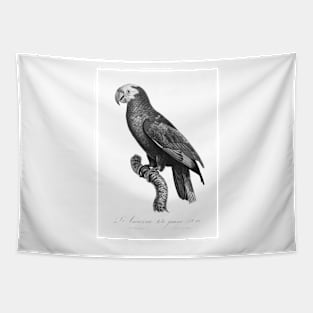 Yellow-Crowned Amazon Parrot In Greyscale Tapestry