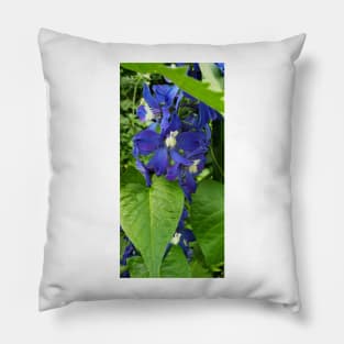 Deep blue delphinium blossoms Pillow