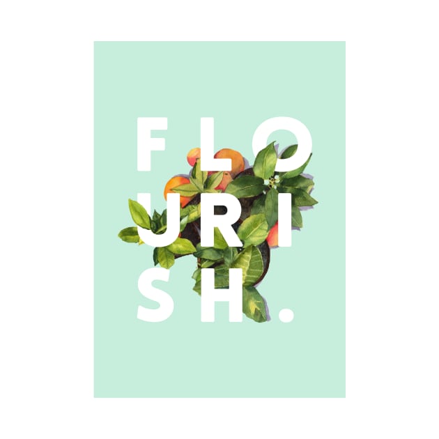 Flourish V2 by Uma