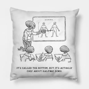 Alien Class Pillow