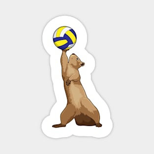 Squirrel with Volleyball Magnet