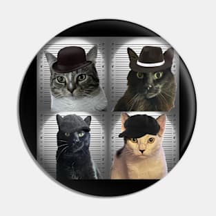 Cat in the Wall Gang Pin