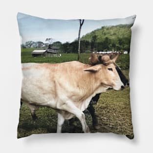 Colorized vintage photo of Mexican Farmer Pillow