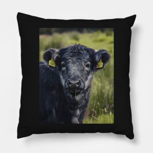 Scottish Highland Blue Grey | Unique Beautiful Travelling Home Decor | Phone Cases Stickers Wall Prints | Scottish Travel Photographer  | ZOE DARGUE PHOTOGRAPHY | Glasgow Travel Photographer Pillow