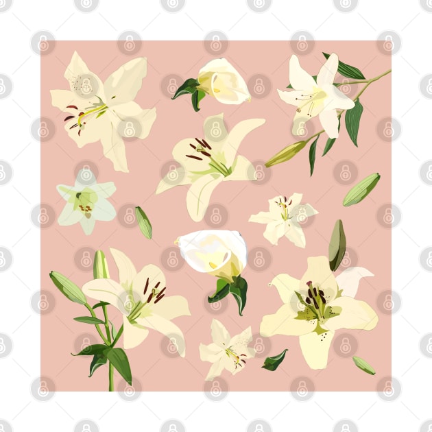 White Pink Lily Flowers by smoochugs