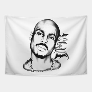 Dmx Tapestry