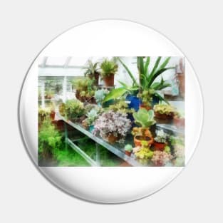 Greenhouse With Cactus Pin