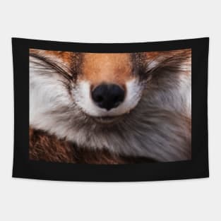 Fox Face Tapestry