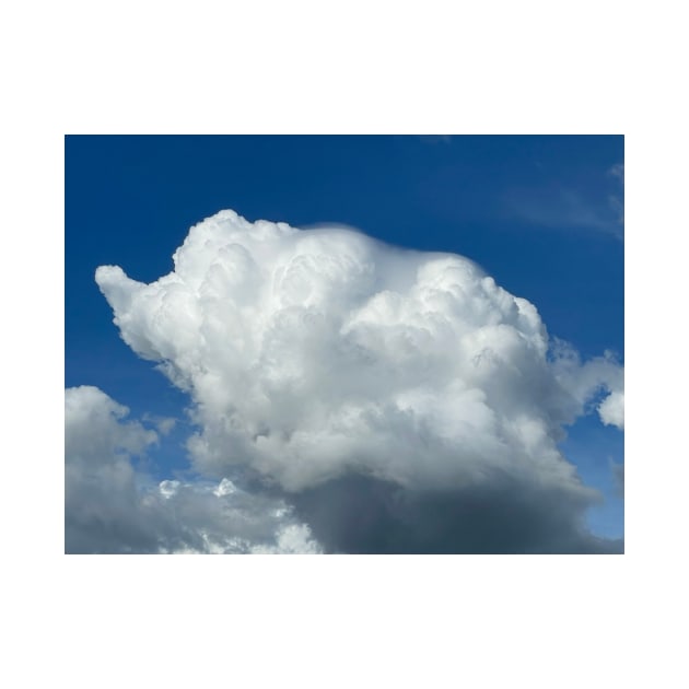 Elephant shape cloud with pileus by Yenz4289