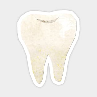 Tooth Magnet