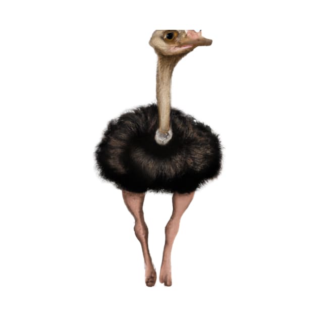 Cute Ostrich Drawing by Play Zoo