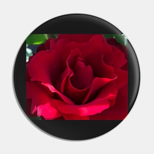 Red Rose Pin