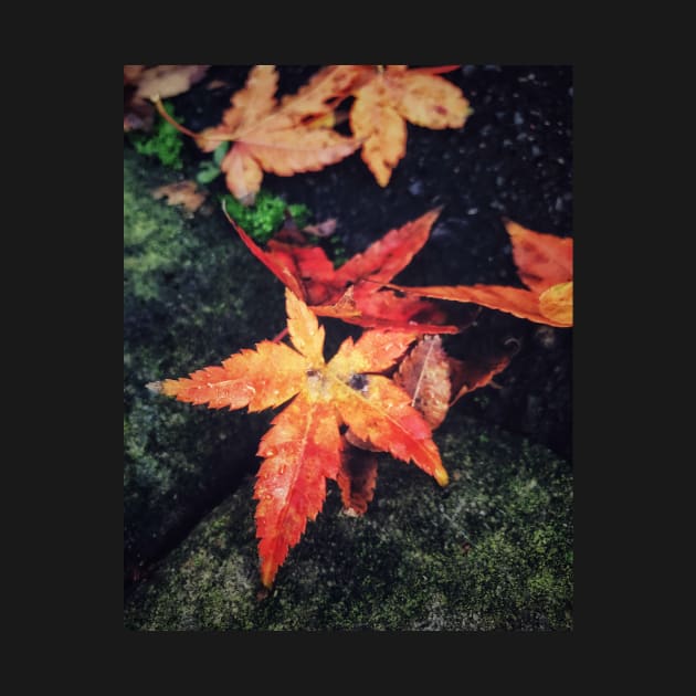 Autumn Leaves by goodieg