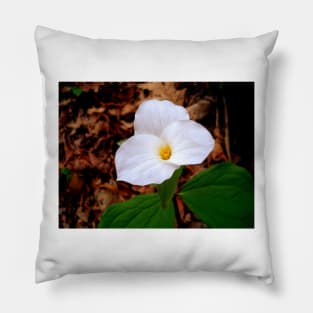 Mountain Flower Pillow