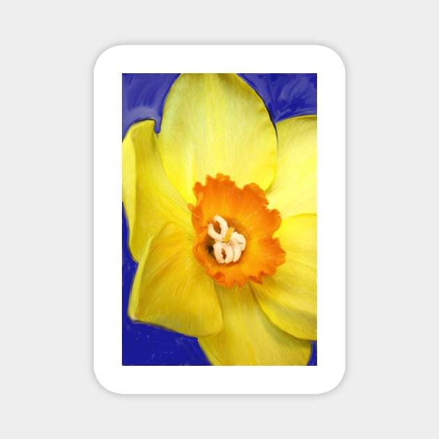 Daffodil Magnet by Colin-Bentham