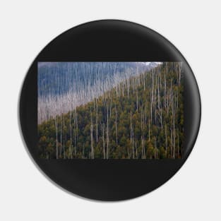 Falls Creek Victoria - Regrowth Pin