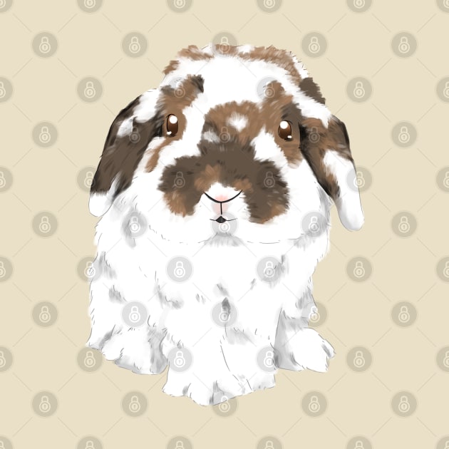 Broken White Holland Lop Rabbit | BulBul Bunny | Bunniesmee by GambarGrace