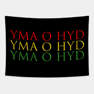 yma o hyd welsh slogan Tapestry